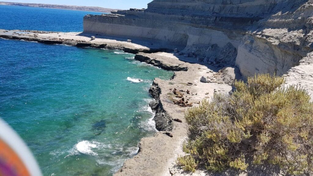 puerto piramides